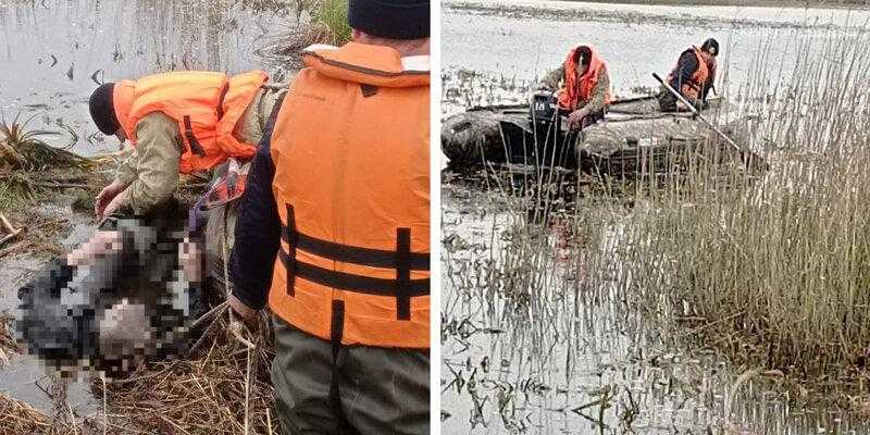 В Татарском районе Новосибирской области в озере нашли тело рыбака, запутавшегося в сетях