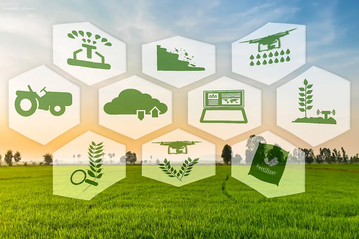 Есть ли перспективы у цифровизации сельского хозяйства в России?