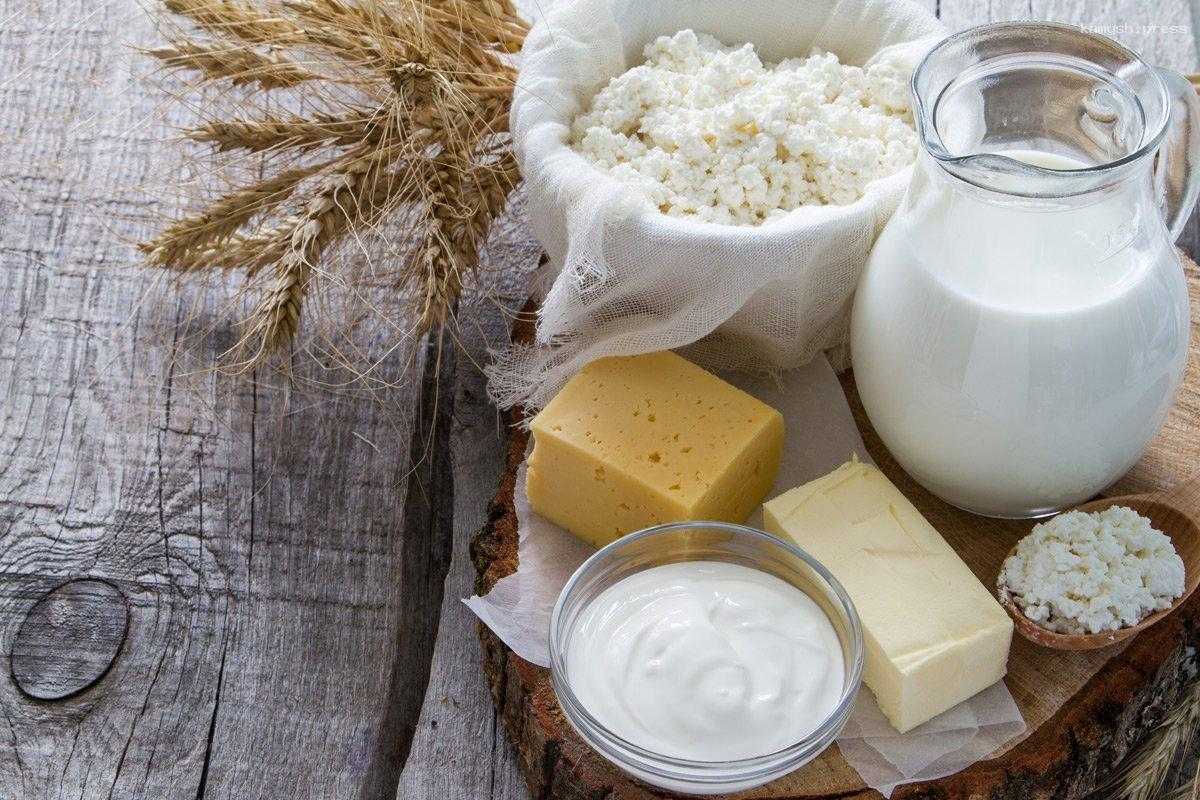 Рассказано, кому молочные продукты могут принести пользу, а кому вред