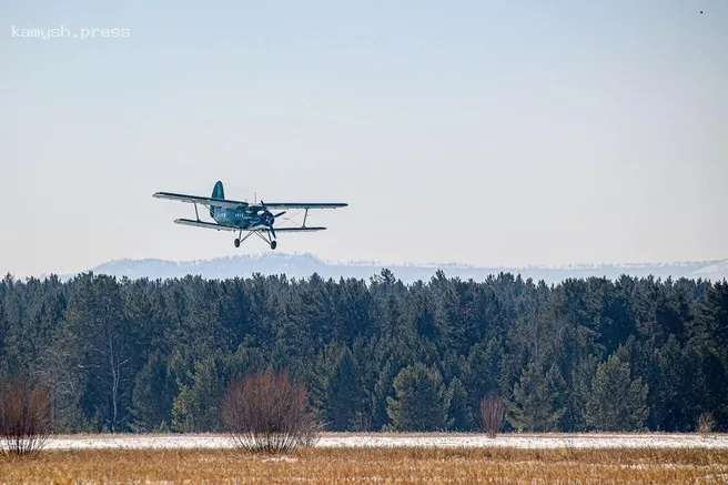 В Подмосковье разбился самолёт Ан-2