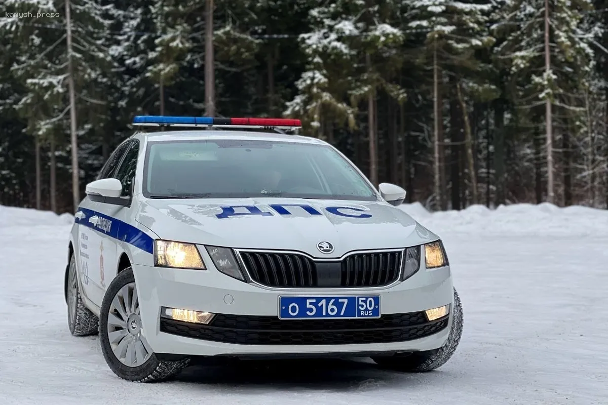 В городском округе Пушкинский до 22 декабря проведут три профилактических мероприятия