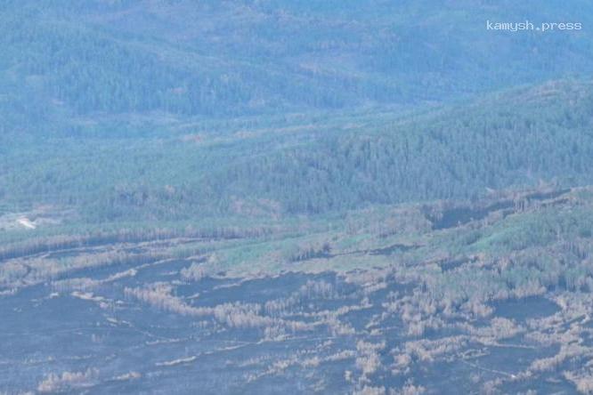 Лесной пожар на землях Минобороны в Забайкалье потушили спустя 23 дня