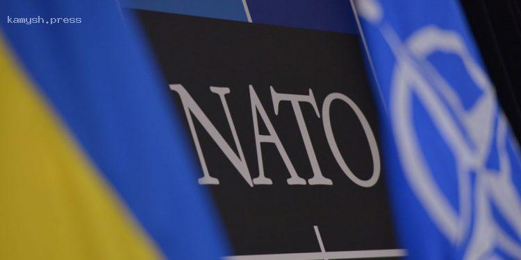 Ключевые союзники НАТО обсуждают, какие обязательства дать Украине по ее вступлению в Альянс – СМИ