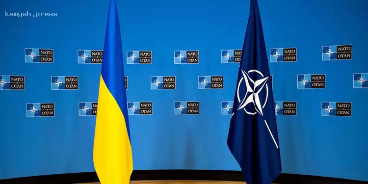 СМИ узнали, почему в НАТО пока не одобрили финансирование Украины на 40 млрд евро ежегодно