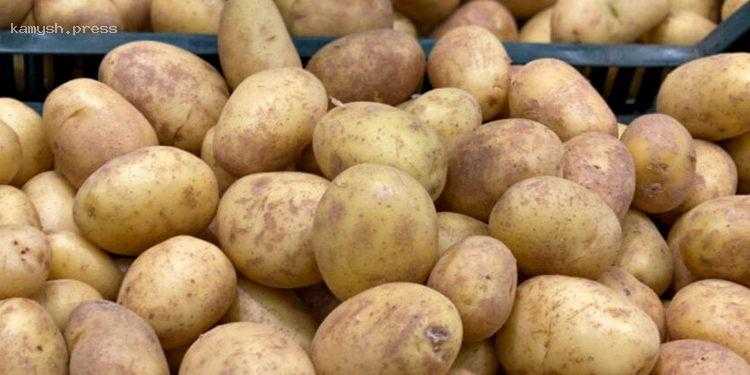 В Украине подешевел молодой картофель: какие цены в супермаркетах