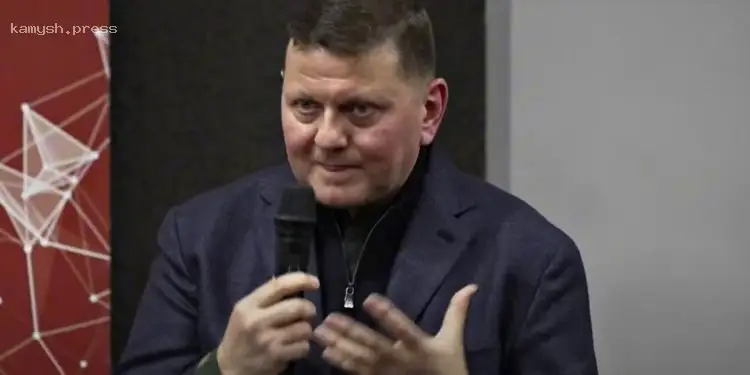 Залужный рассказал, почему Румыния просила не раскрывать информацию о падении российских беспилотников на своей территории