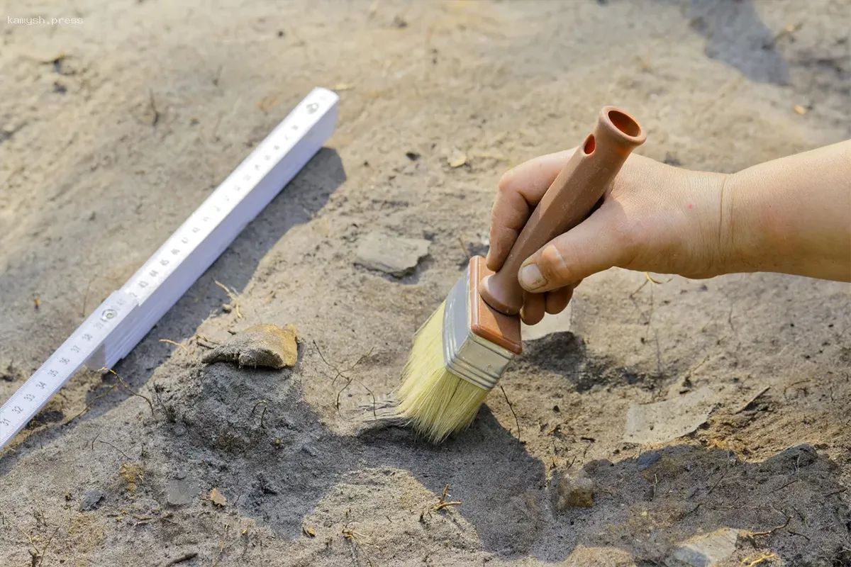 В Новосибирской области нашли новый памятник эпохи бронзового века