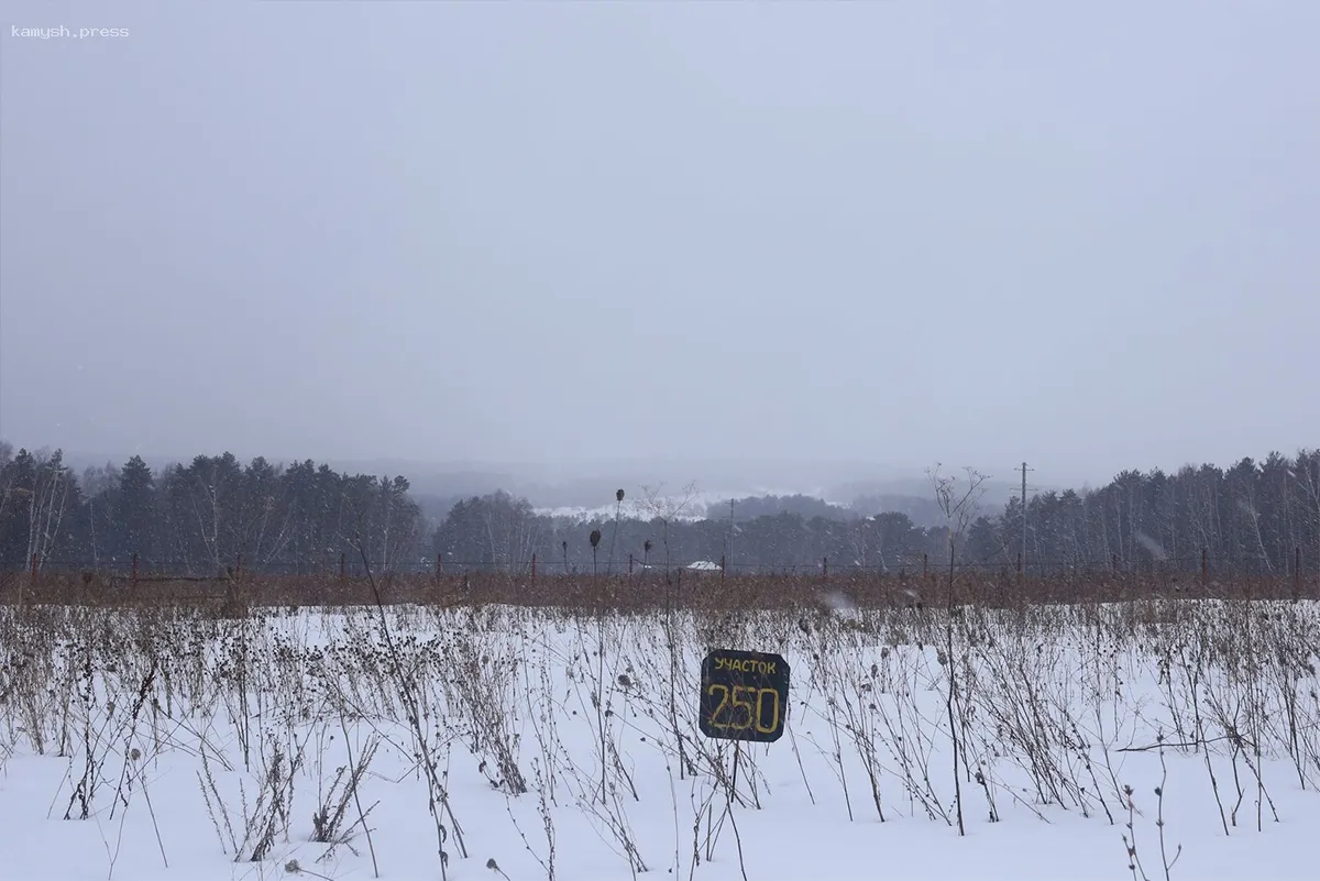 Около 8,6 тысячи гектаров земли в Новосибирской области могут отдать под туризм