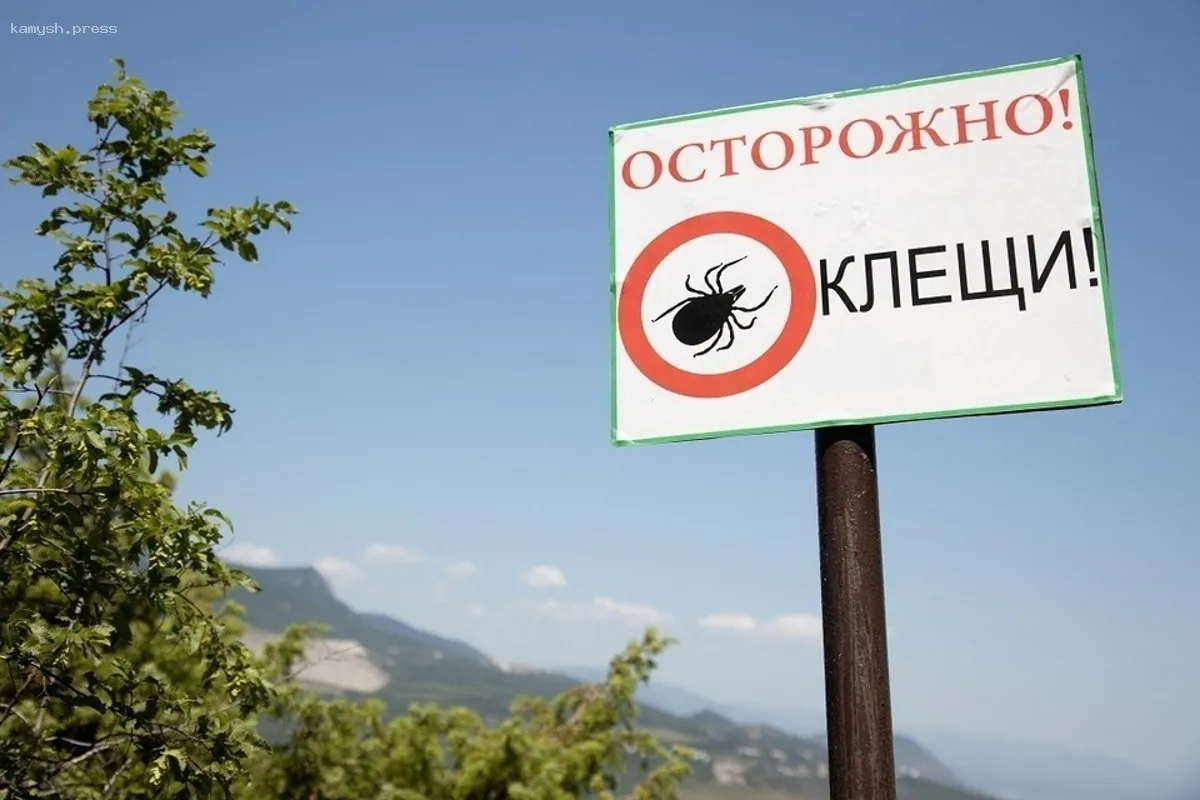 Новосибирцев призвали прийти в поликлиники и вакцинироваться от клещевого энцефалита