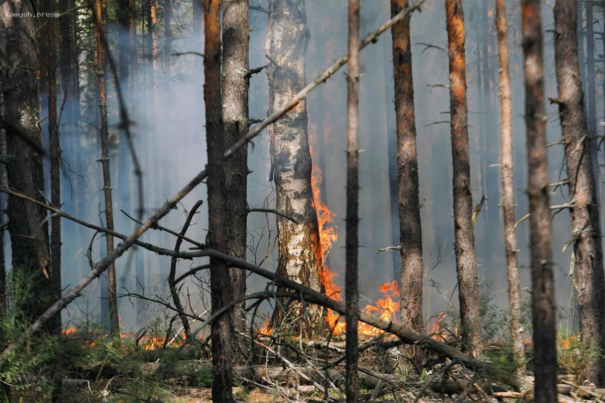 В Приморском крае ликвидирован масштабный природный пожар