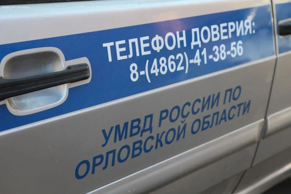 МВД: В январе в Орловской области не зарегистрировано ни одного случая разбоя