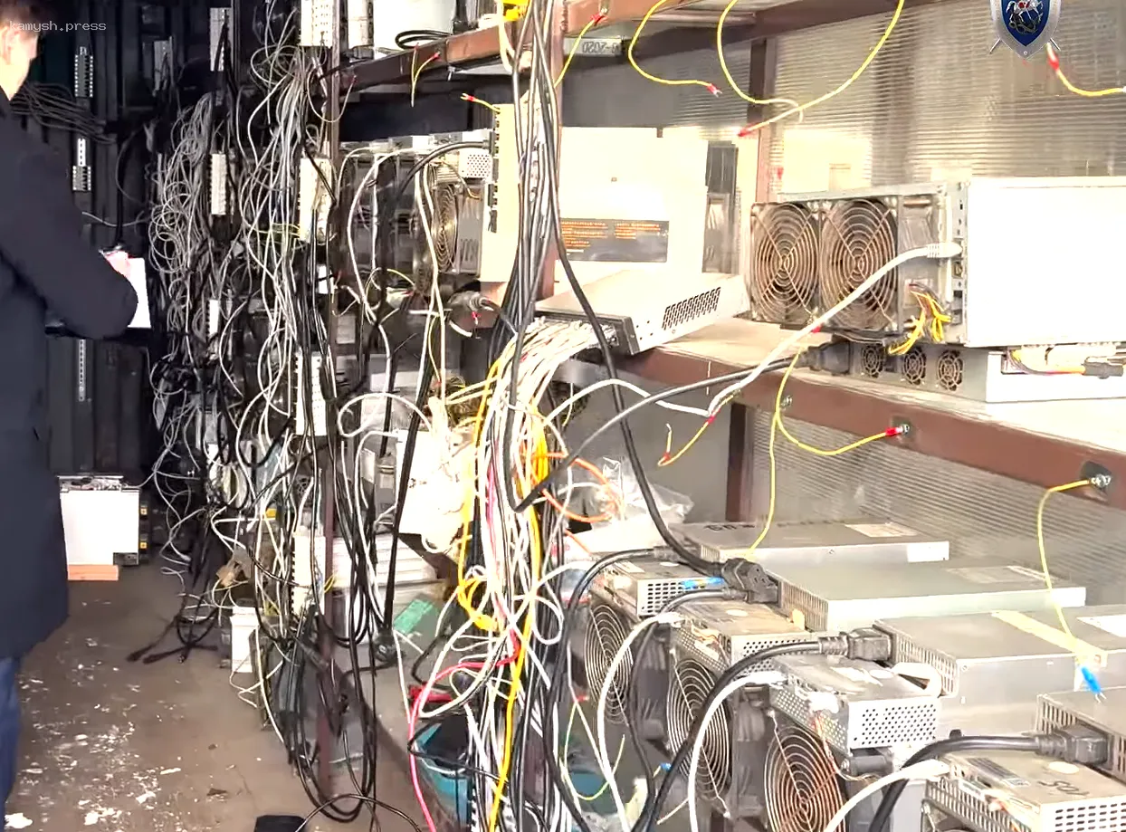 Энергетики Новгородской области столкнулись с неожиданной находкой в старом свинарнике