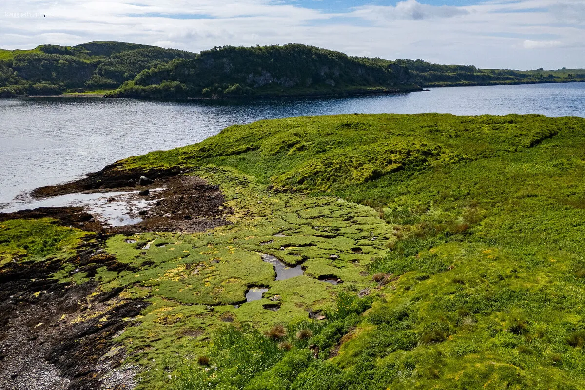 В Шотландии выставили на продажу остров с тремя пляжами по цене квартиры в Лондоне