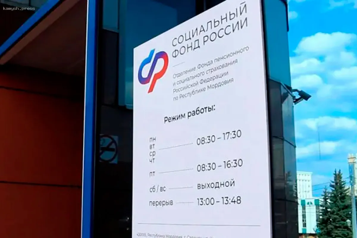 Опубликованы данные о количестве медиков в Мордовии, получающих выплаты от Социального фонда