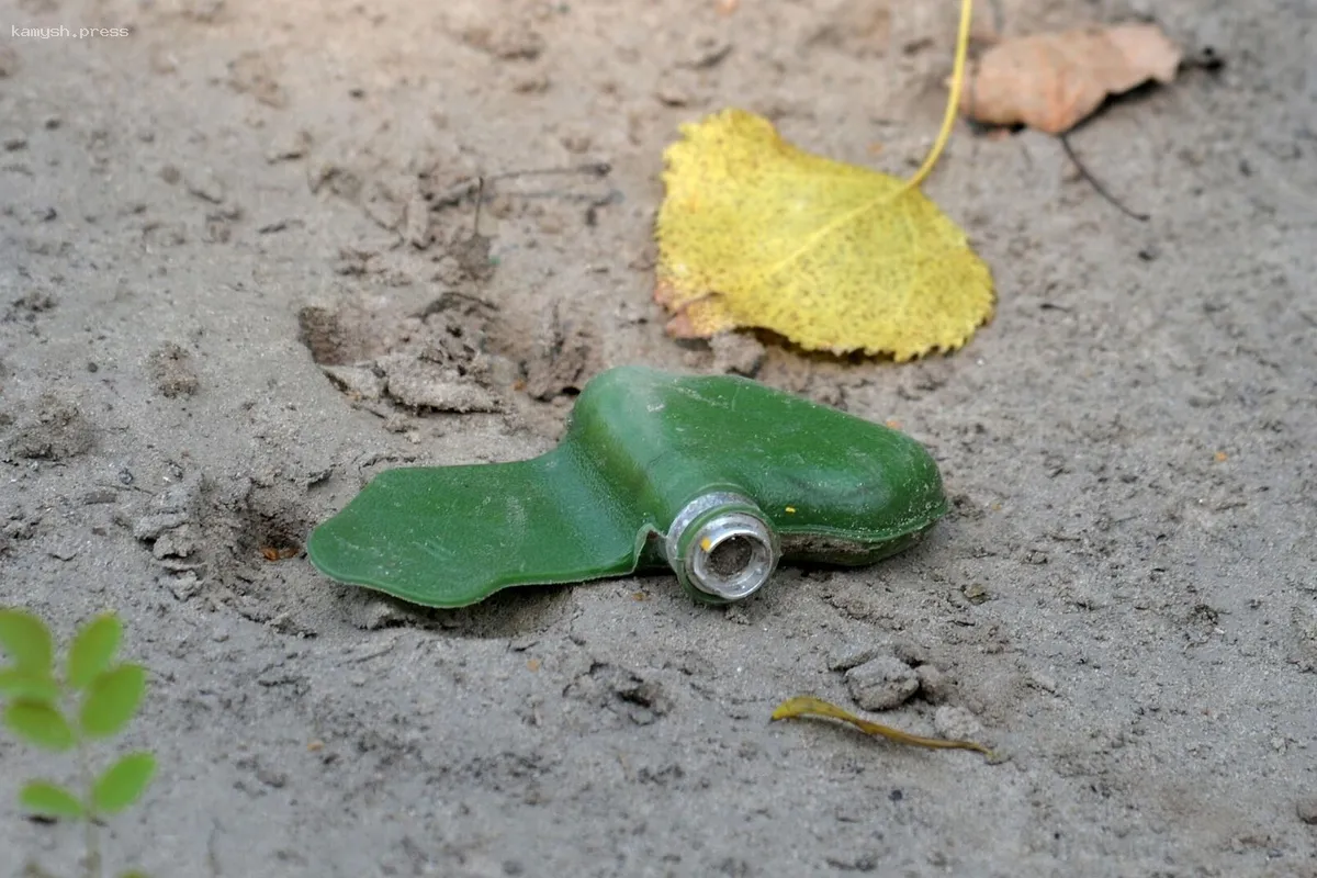 Жительница Курской области пострадала от взрыва мины ПФМ-1