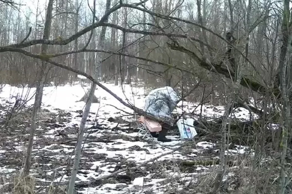 В Санкт-Петербурге поймали браконьера, который вел охоту в городской черте