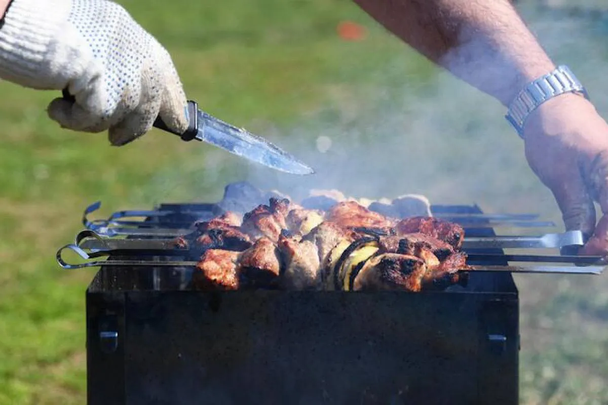 «Запрет на шашлыки?»: адвокат рассказал о новых правилах разжигания огня на дачных участках
