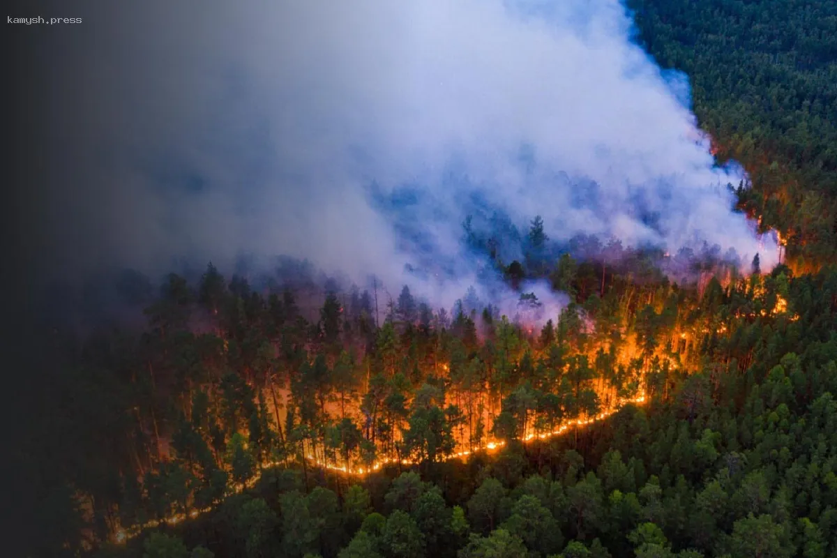 Травников провел заседание по подготовке Новосибирской области к периоду повышенной пожарной опасности