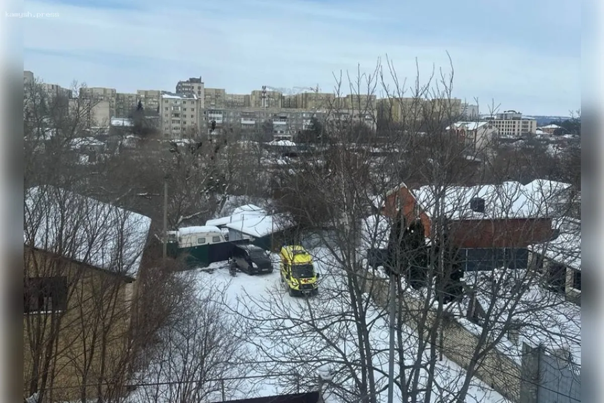 В Ставрополе стая бездомных собак атаковала 9-летнюю девочку