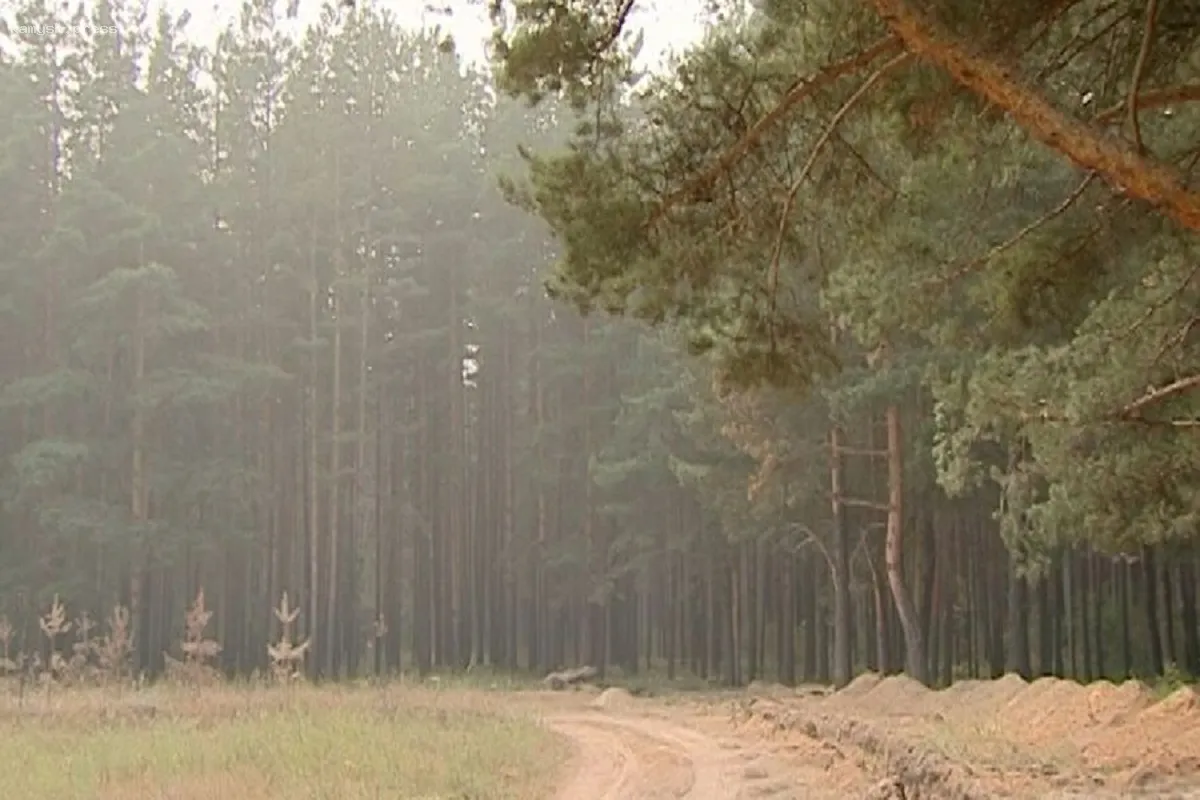В Ярославской области проходят мероприятия по подготовке к паводкам и сезону пожаров