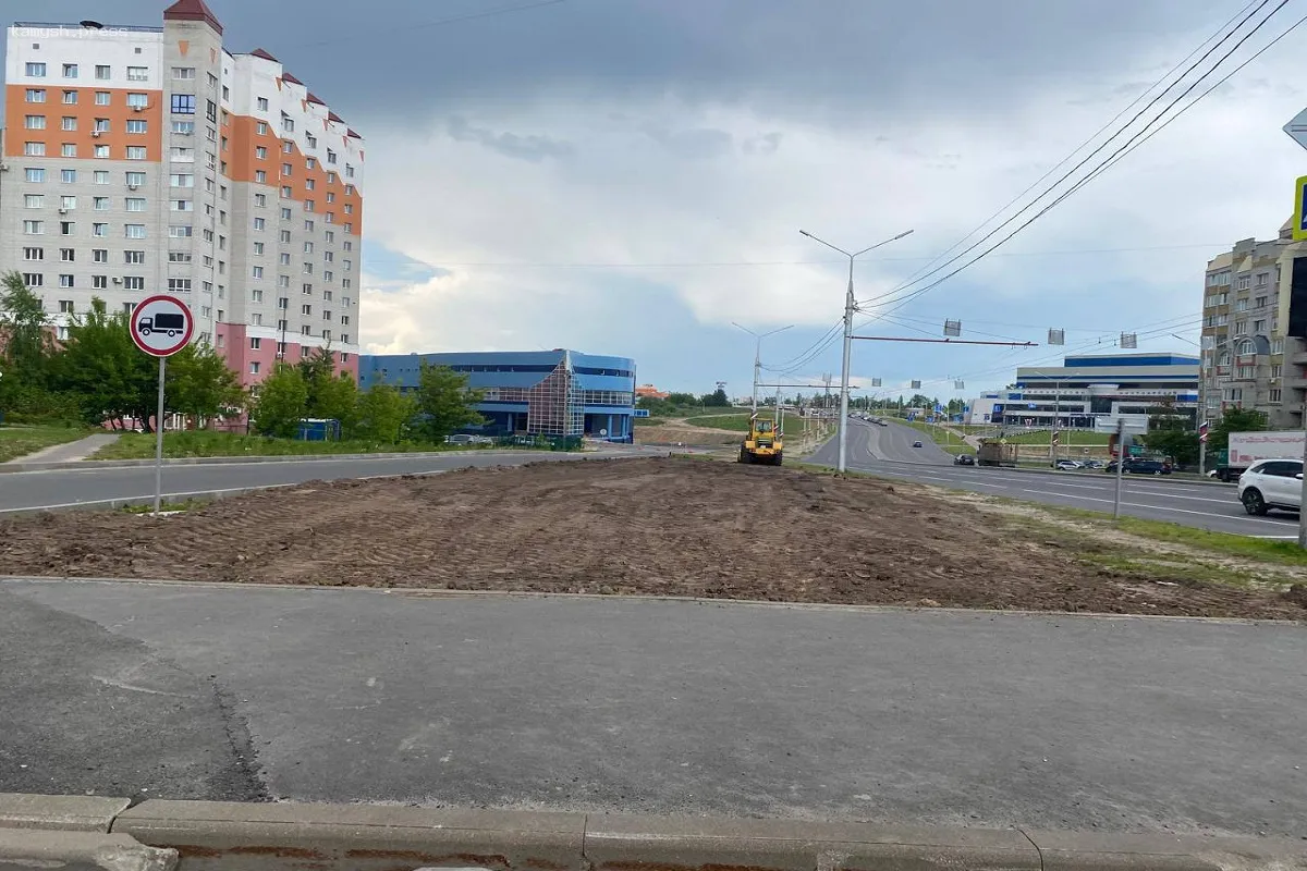 В Новосибирске на обновление газонов выделят 135 миллионов рублей