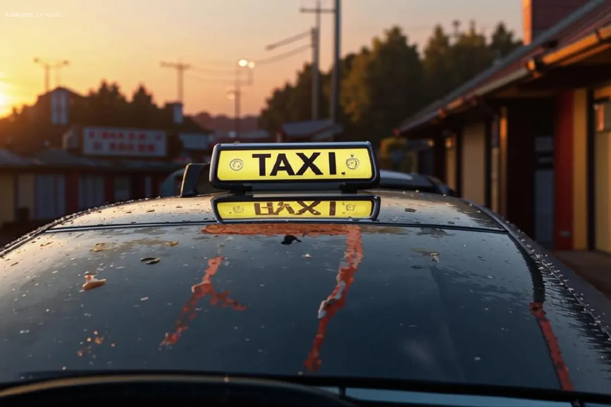 В Самаре таксист увез пятилетнего мальчика, оставленного матерью в автомобиле