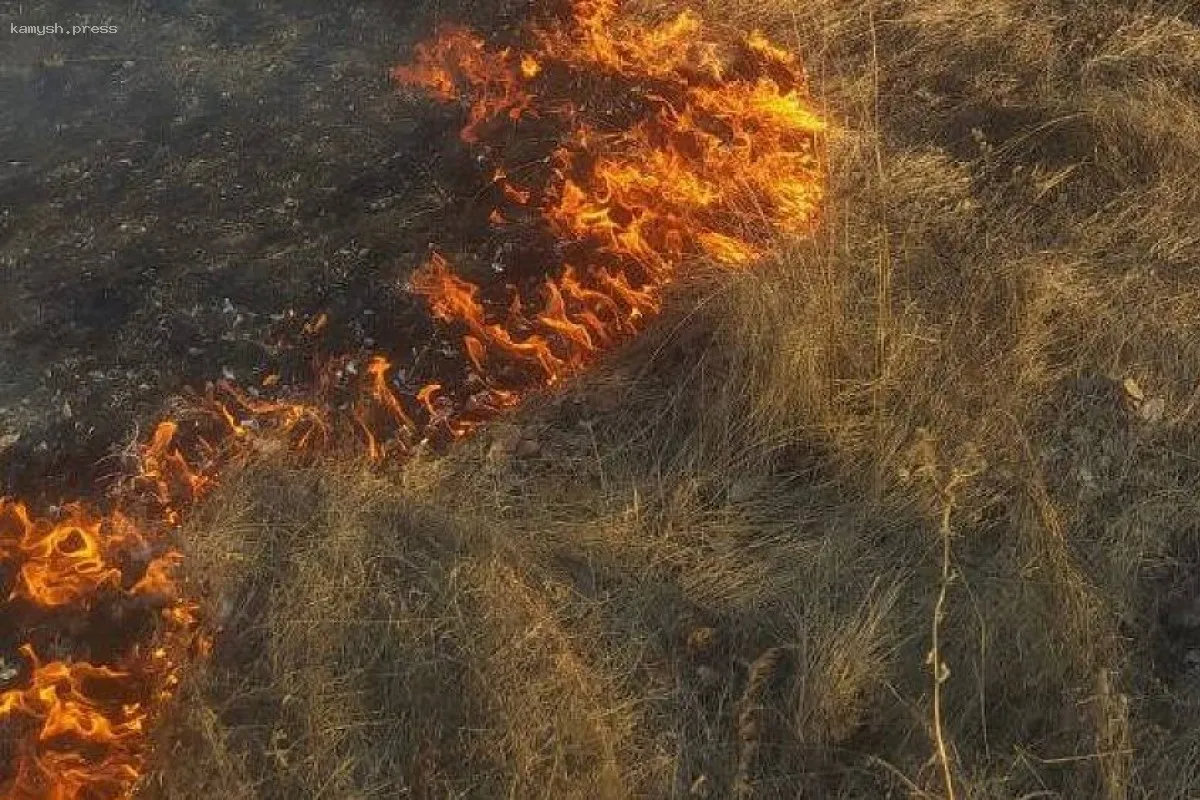 Лесной пожар в Челябинской области успешно потушен