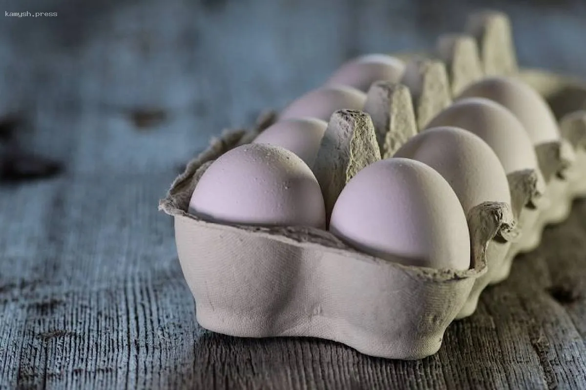 В России наблюдается снижение оптовых цен на яйца, производители выражают обеспокоенность из-за падения рентабельности