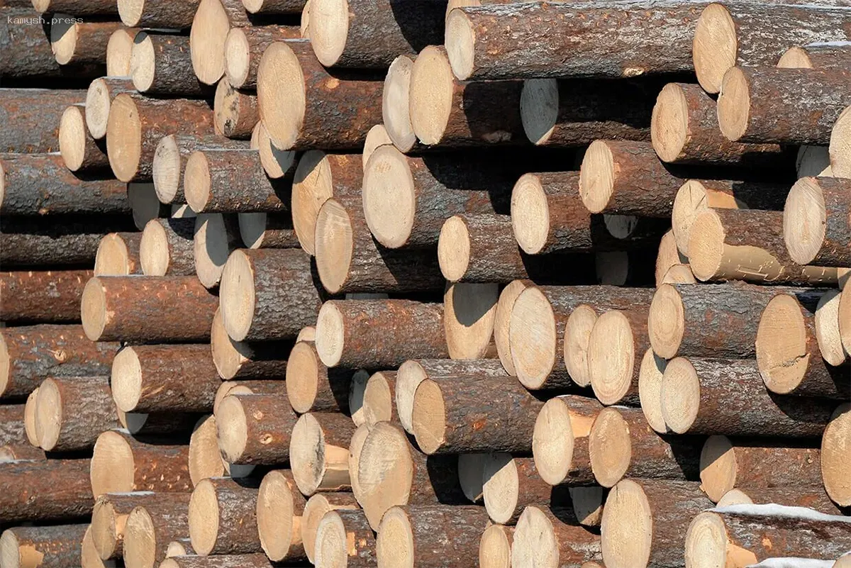 Восточная Словакия обнаружила радиацию из-за древесины из Чернобыля