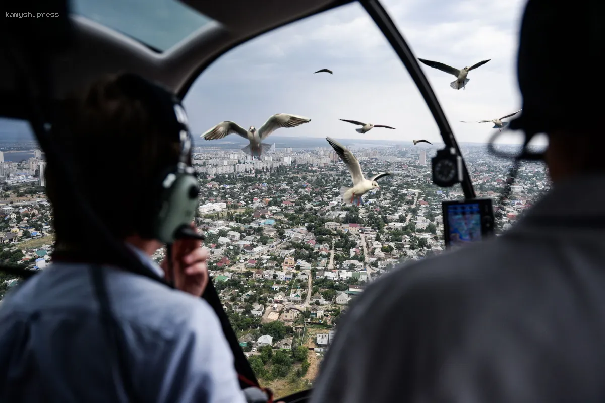 Авиакомпания S7 из Новосибирска выиграла дело против аэропорта из-за птицы, попавшей в двигатель
