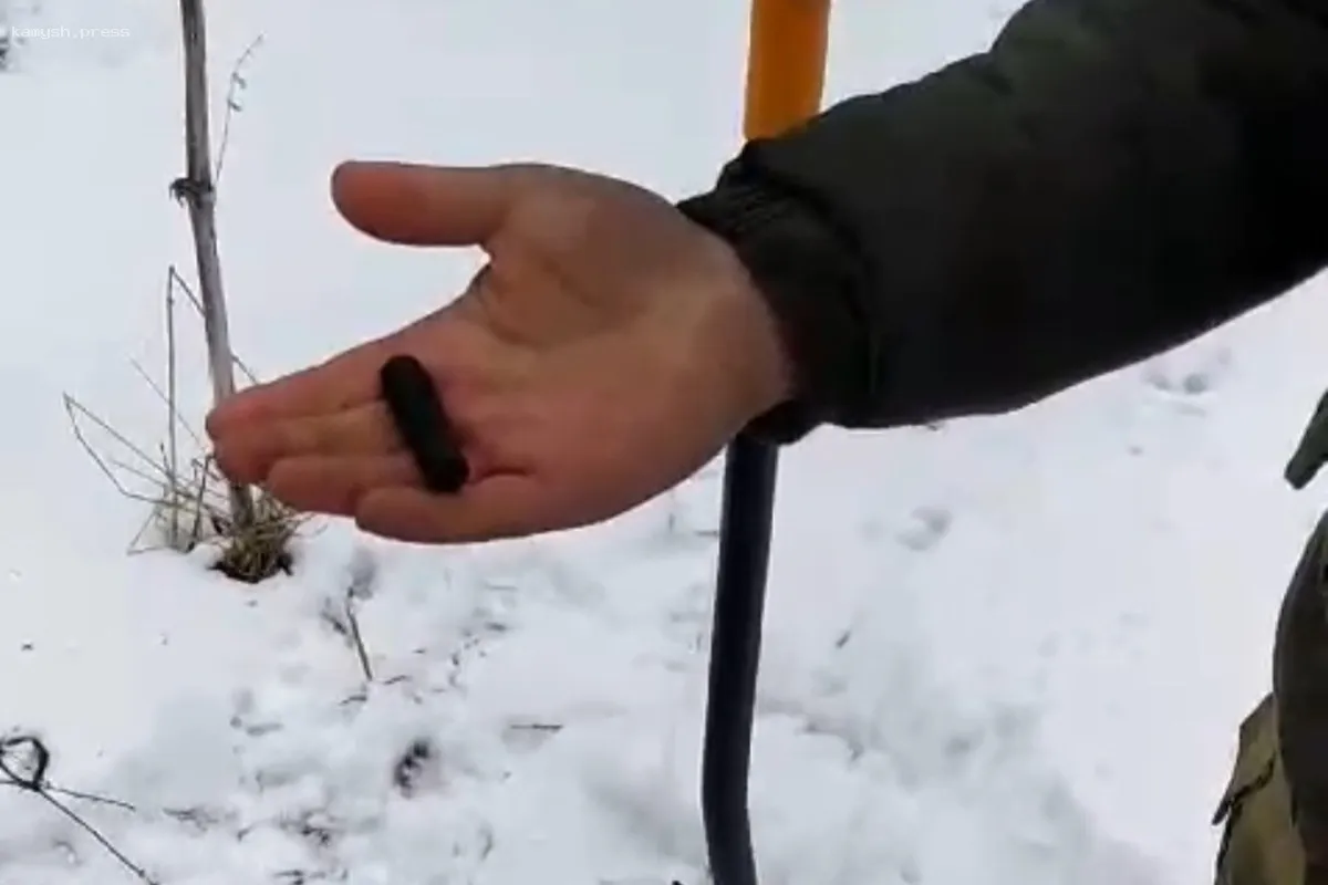 Медальон солдата РККА, обнаруженный под Ржевом, рассказал о судьбе ветерана, прошедшего всю войну