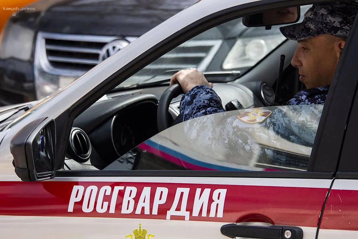 Очередной коррупционный скандал в Росгвардии: руководитель IT-отдела оказался под следствием