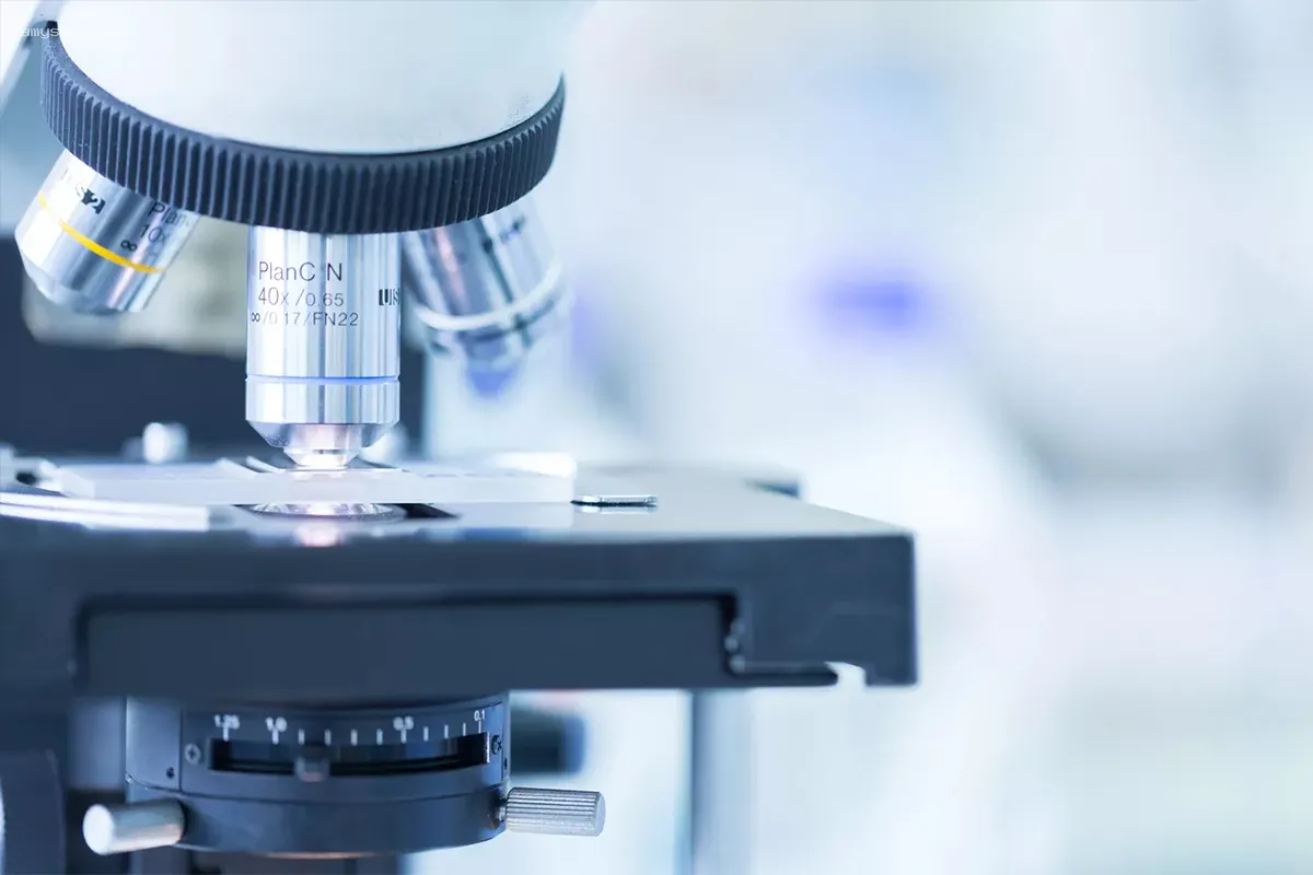 Ученые из Новосибирска предлагают новый подход к лечению рака с помощью пептидов