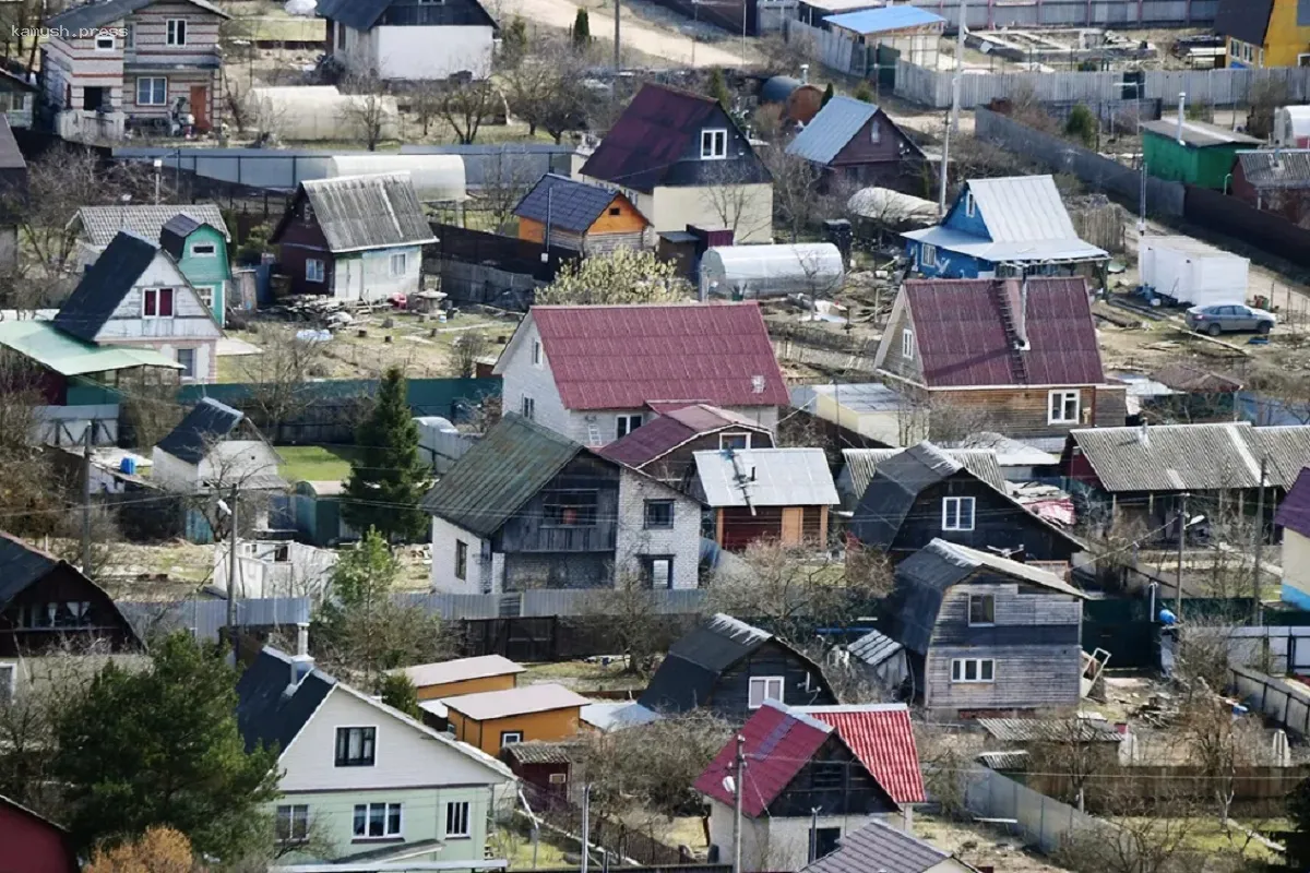 Жители Новосибирска активнее используют «дачную амнистию»