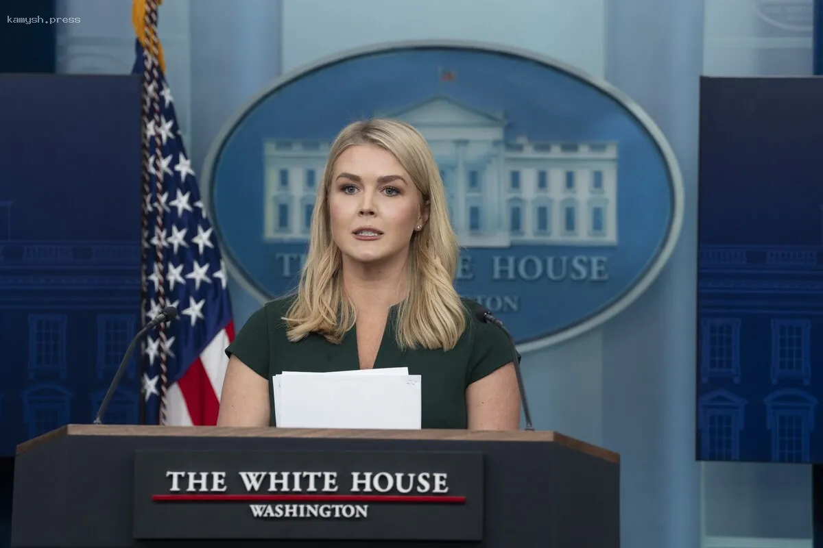 Ливитт сообщила о том, что администрация Байдена уничтожила почти 8 миллионов кур