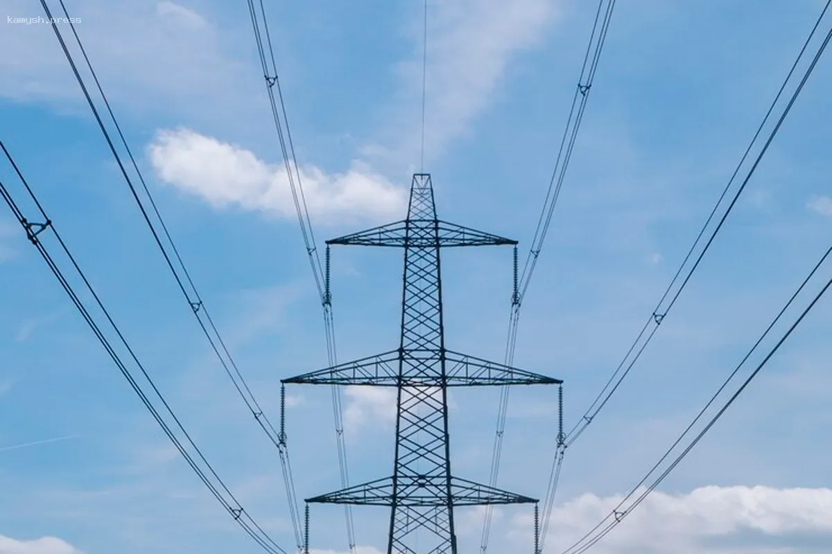 Тюменские власти через суд требуют у дачников вернуть земельный участок