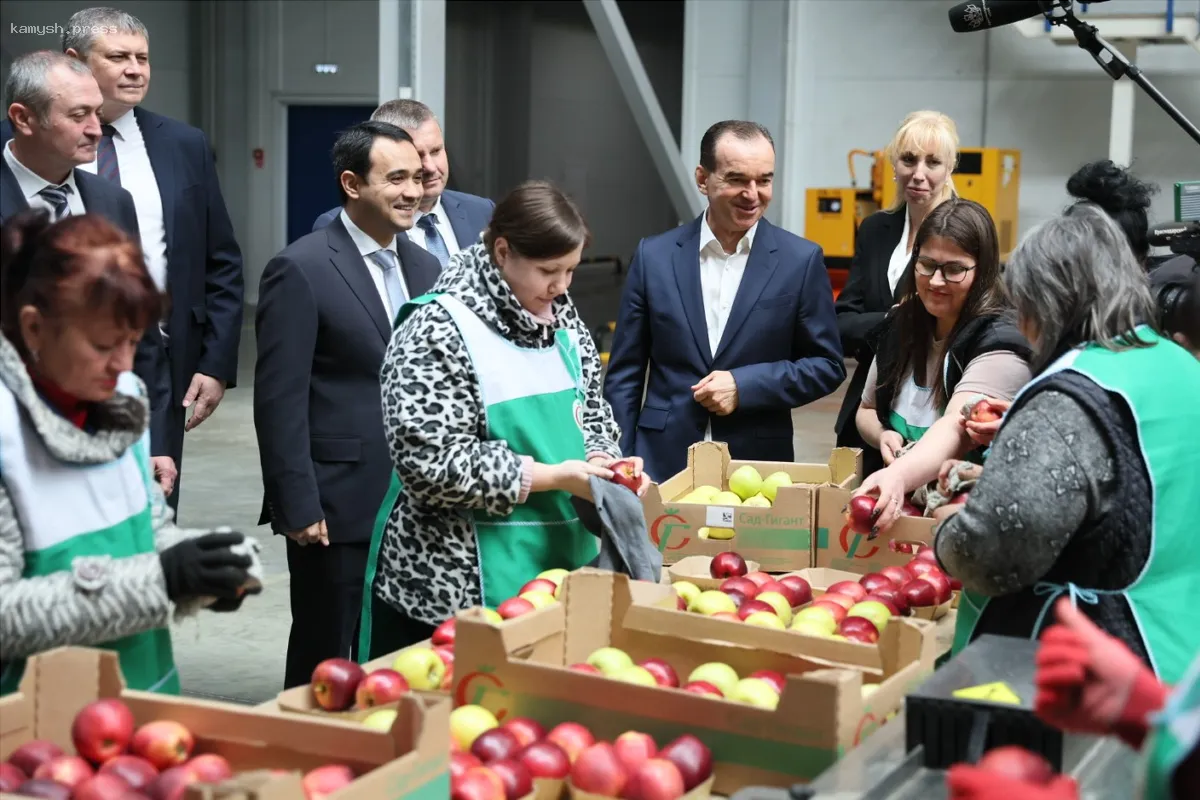 Глава Краснодарского края Вениамин Кондратьев посетил одно из ведущих яблочных производств в России