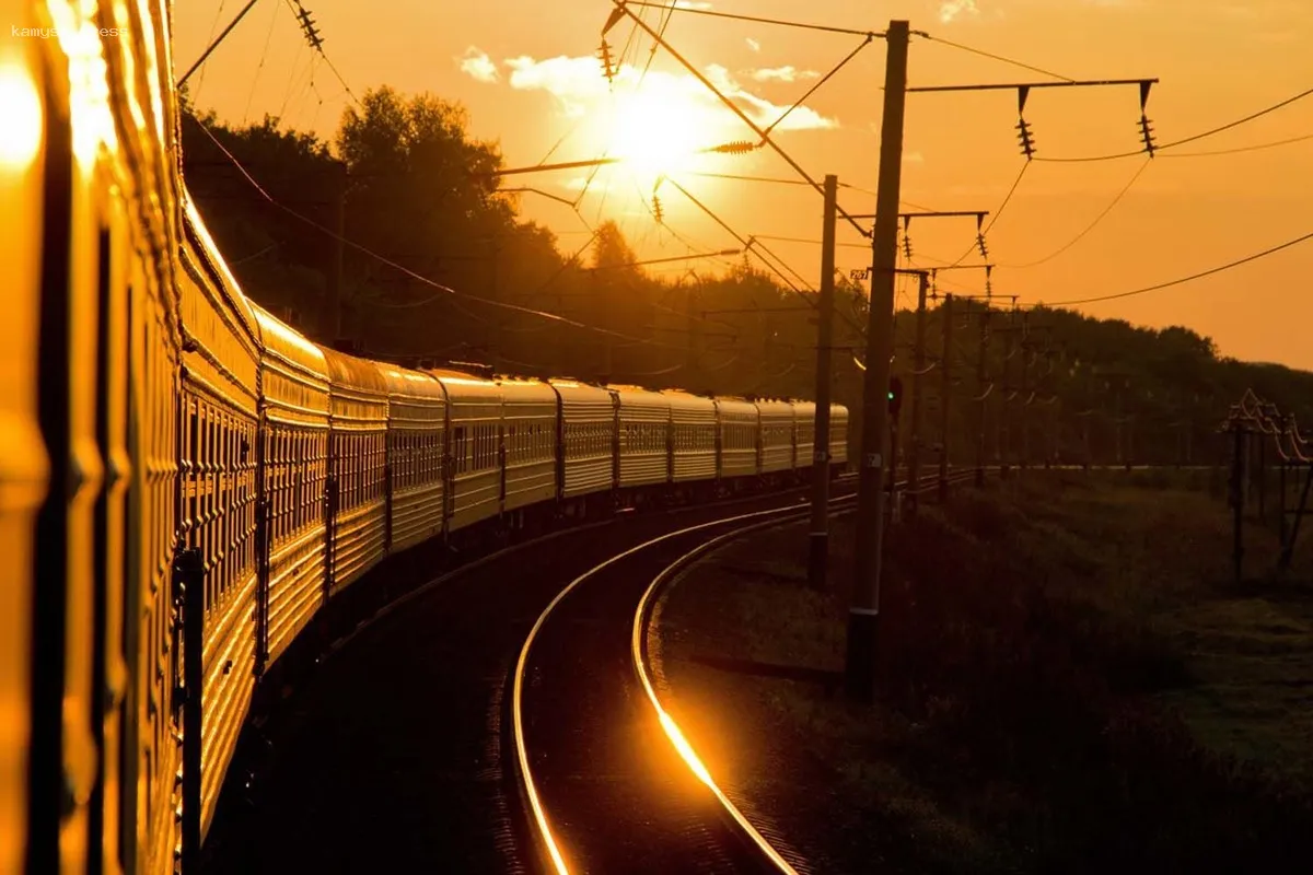 Число мигрантов в Самарской области в 2024 году увеличилось почти на 5000 человек