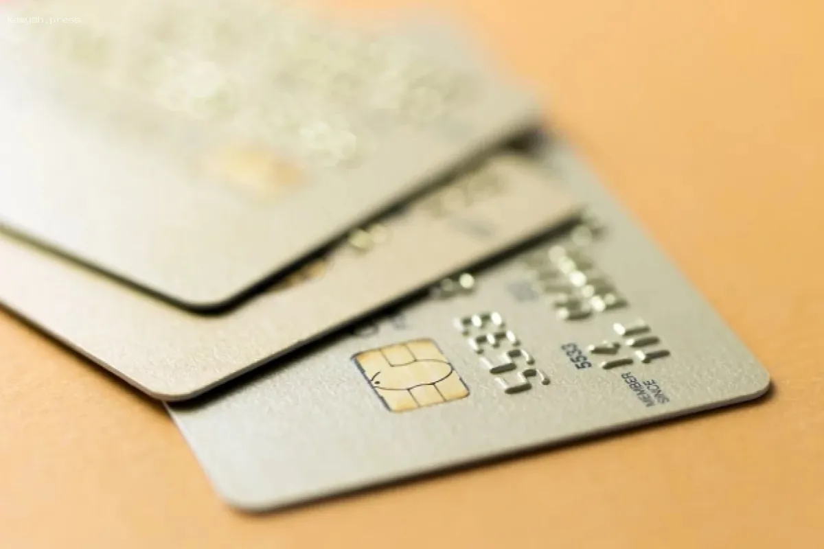 В Новосибирской области наблюдается резкое сокращение выдачи кредитных карт