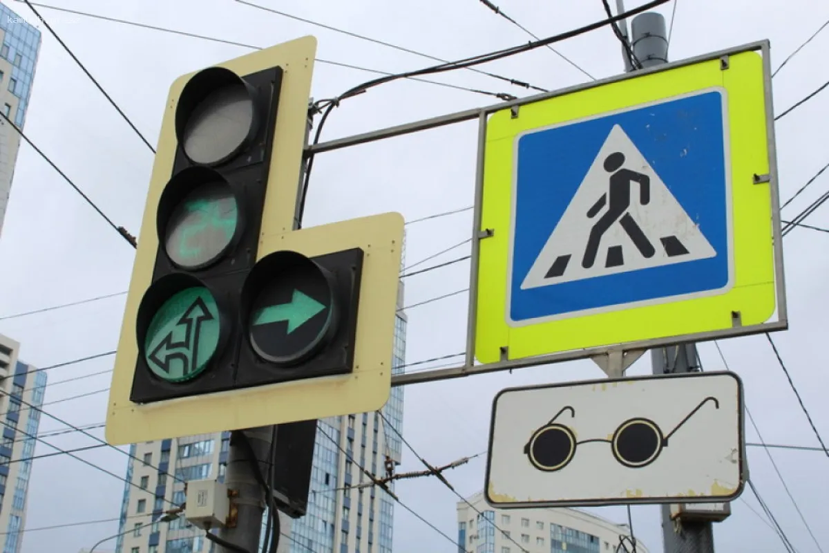 В Санкт-Петербурге представлены планы по оптимизации общественного транспорта