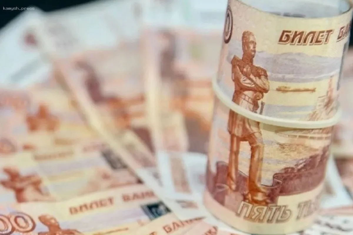 В Новосибирске бизнесмена наказали за неправомерное использование субсидий