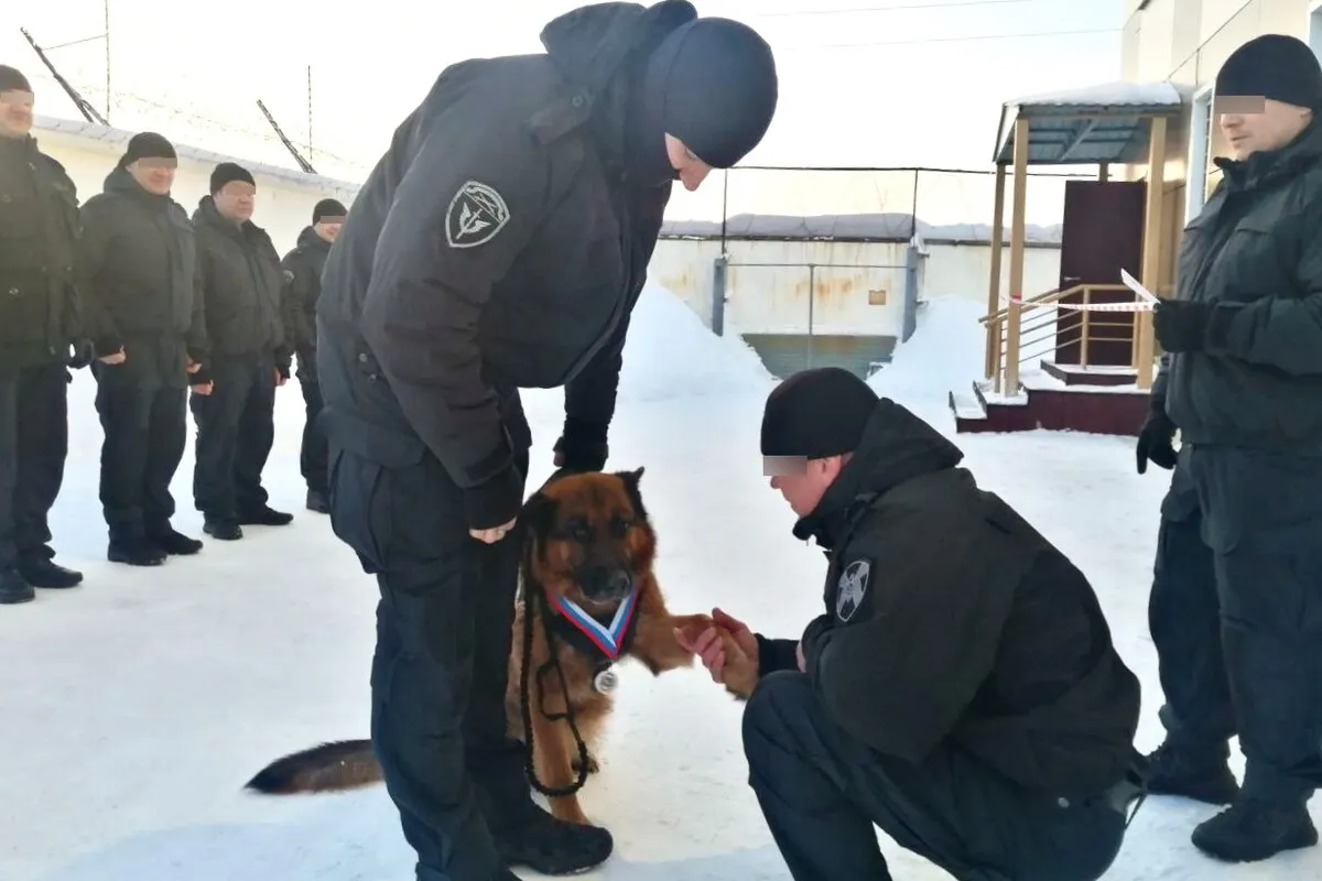 В Воркуте овчарка Райд завершил свою службу в ОМОНе