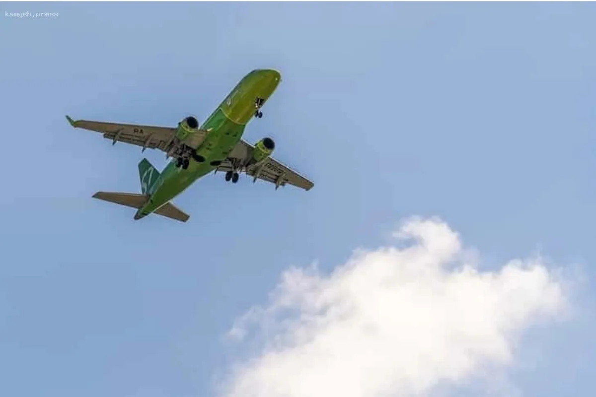 Западно-Сибирская транспортная прокуратура наложила штраф на S7 Airlines за ущемление прав пассажиров