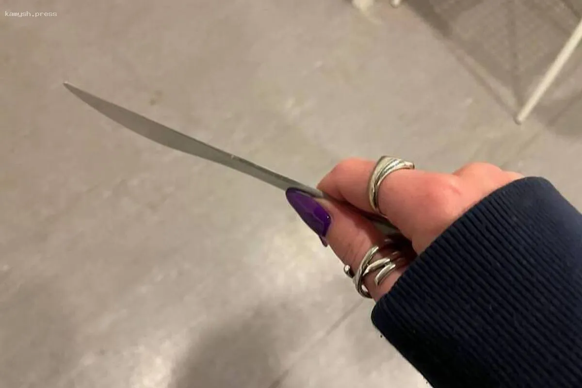 В Мурино транссексуал с ножом атаковал мать и подругу: обе пострадавшие в реанимации