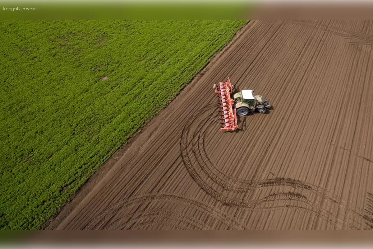 Ленинградская область полностью готова к весенним посевам семян