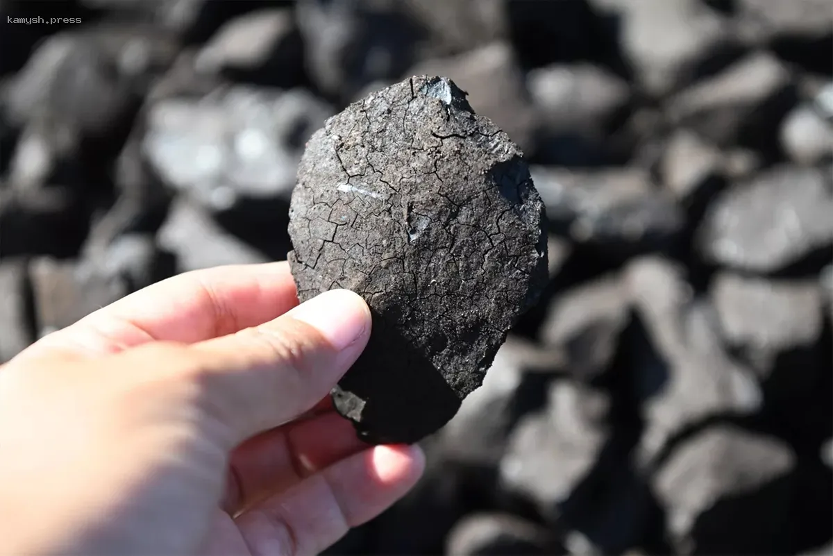 Продолжение инициативы «Социальный уголь» в Туве