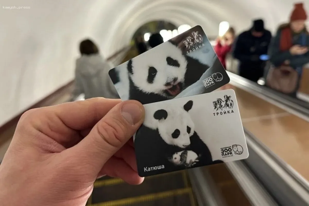 Оператор системы оплаты проезда «СберТройка» в Новосибирске должен выплатить штраф за недостатки в работе