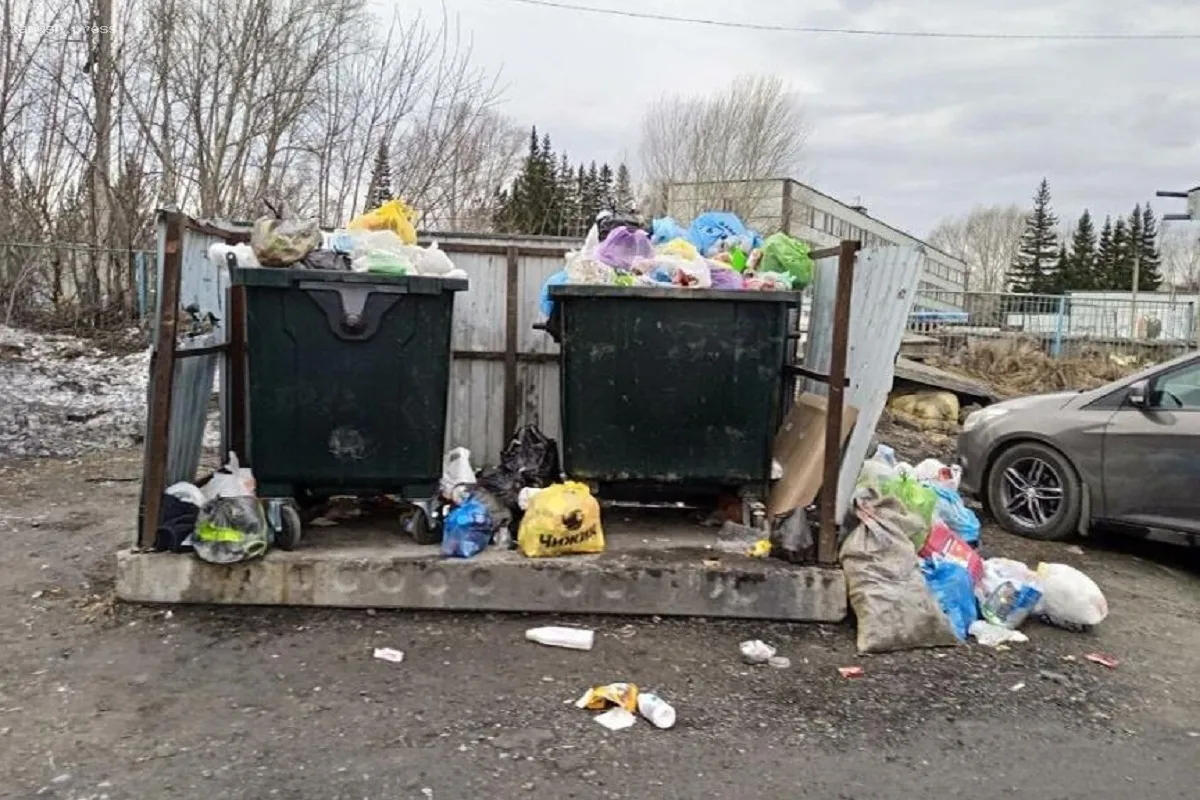 В Новосибирской области начнут штрафовать за нарушение норм обращения с отходами