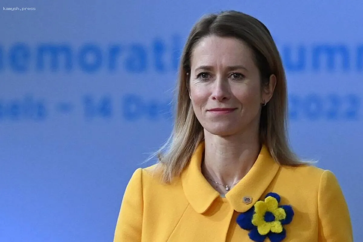 Представитель ЕС ответила на критику вице-президента США Вэнса