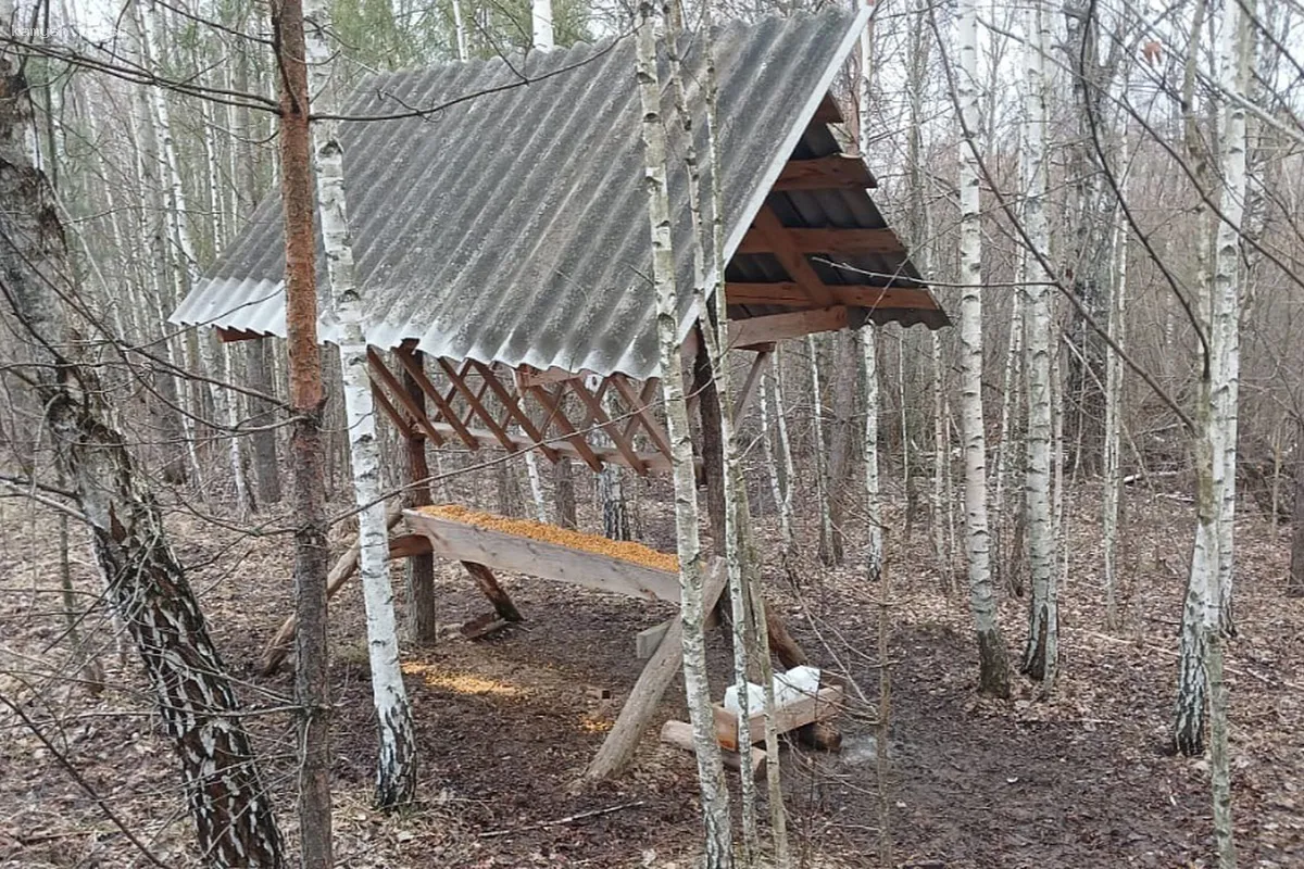 В Курской области прошли масштабные проверки на предмет нарушений охотничьих правил
